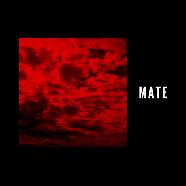 Rojo cover art