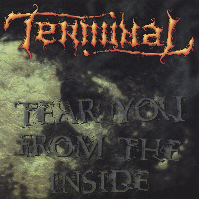 Tear You From The Inside cover art