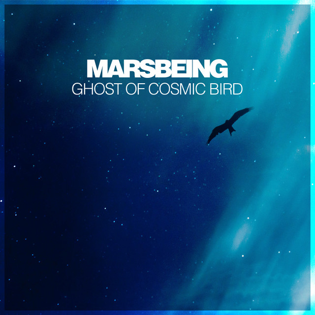 Ghost of Cosmic Bird cover art