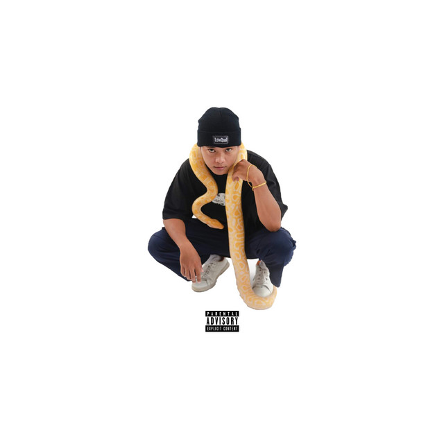 DAP | Spotify