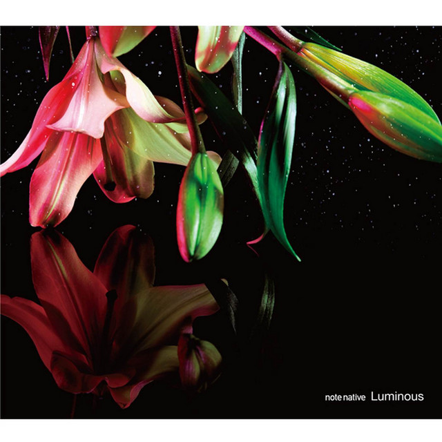 Luminous cover