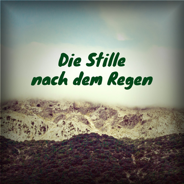 Die Stille nach dem Regen cover art