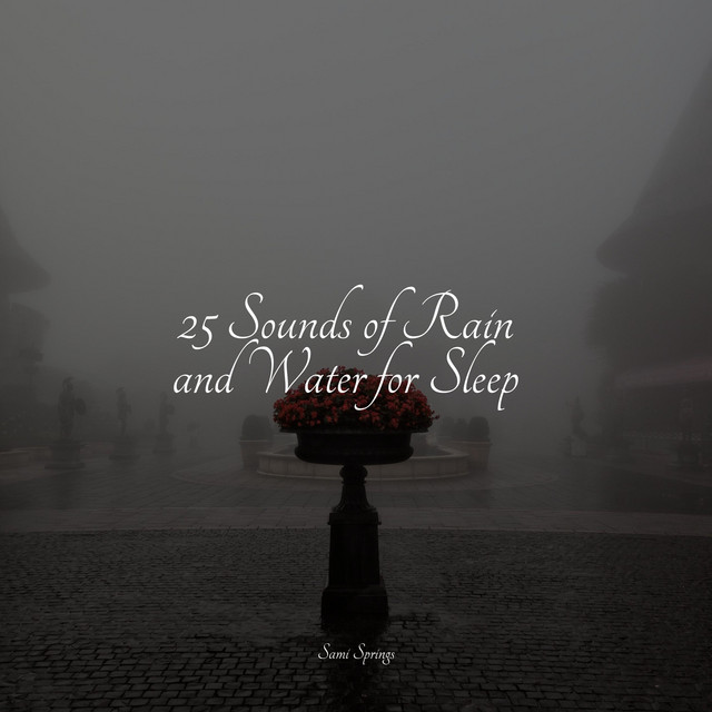 25 Sounds of Rain and Water for Sleep - Album by Musique Zen Garden ...