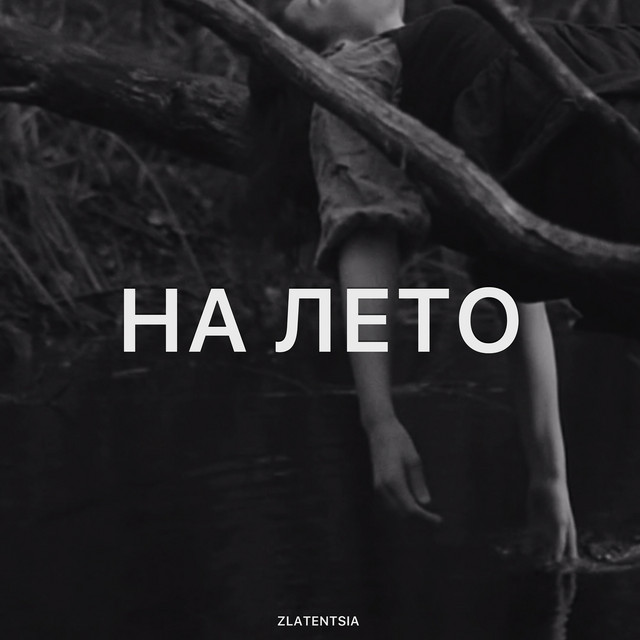 На лето cover art