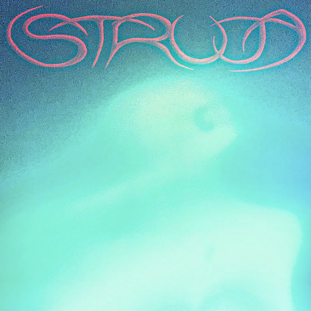 Struja cover art