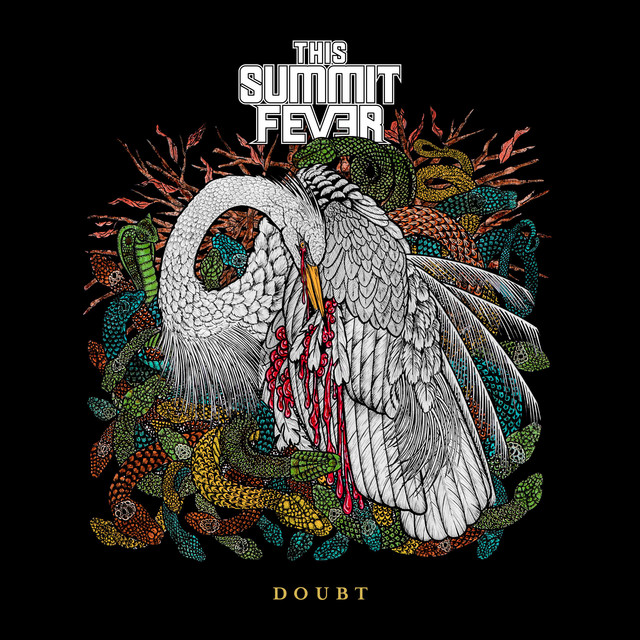 Doubt cover