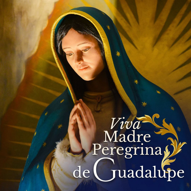 Viva Madre Peregrina de Guadalupe