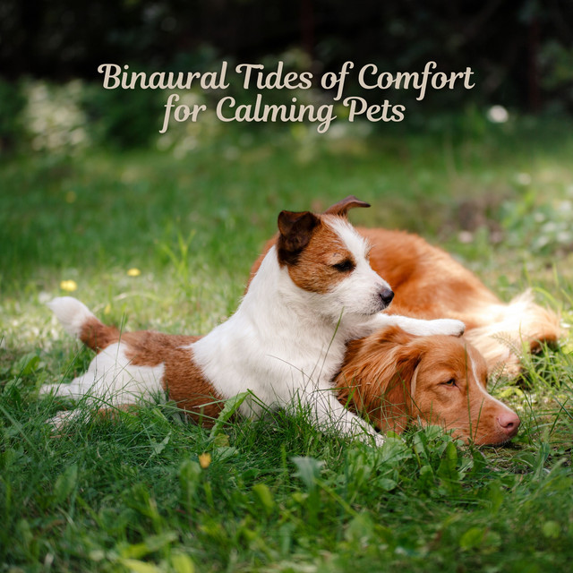 Binaural Tides of Comfort for Calming Pets cover art