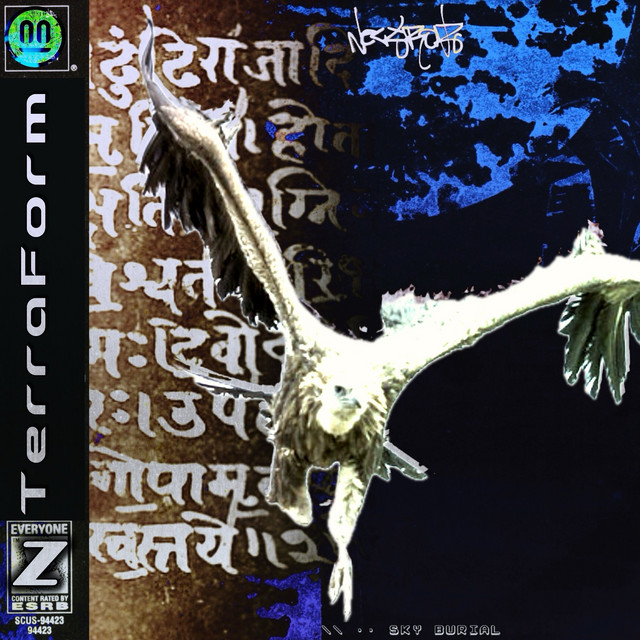 Sky Burial