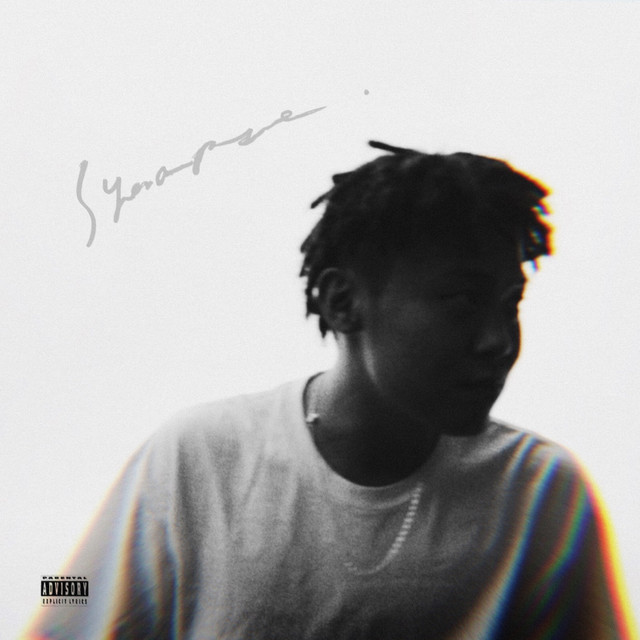 Synapse cover art