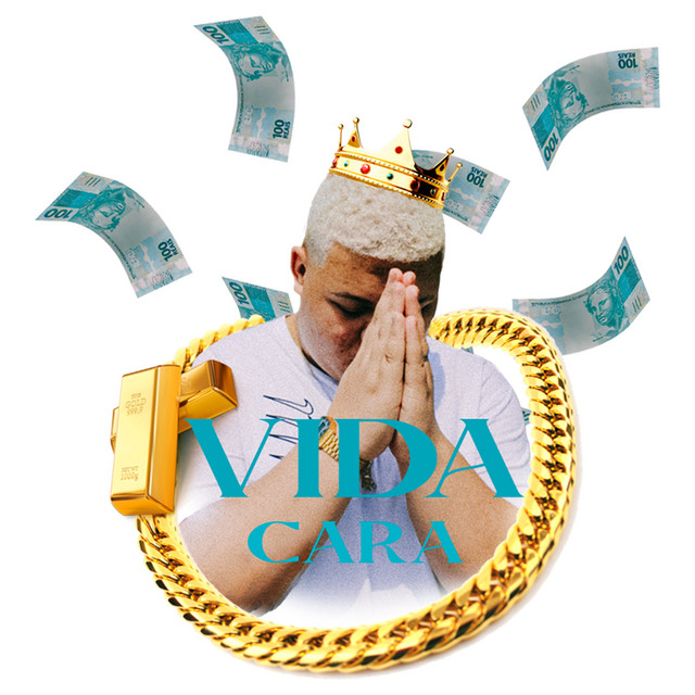 Vida Cara