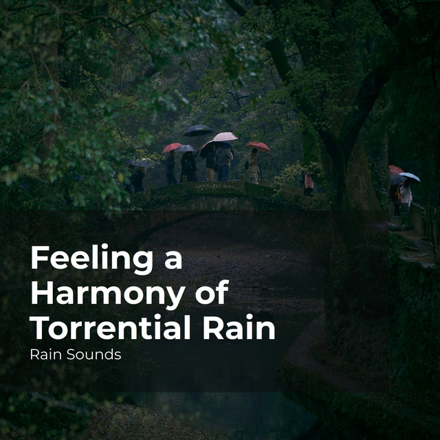 Feeling a Harmony of Torrential Rain cover art