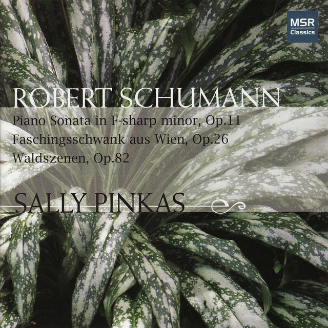 Schumann: Piano Sonata in F-Sharp minor, Waldszenen, Faschingsschwank aus wien