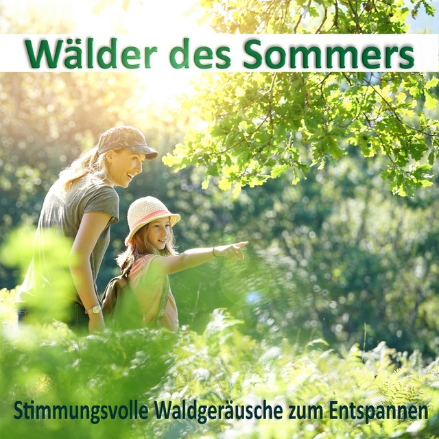 Wälder des Sommers, stimmungsvolle Waldgeräusche zum Entspannen cover art
