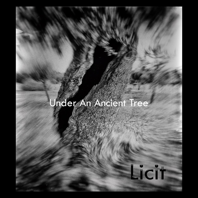 Under an Ancient Tree cover art