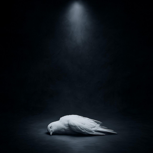 MARDI cover art