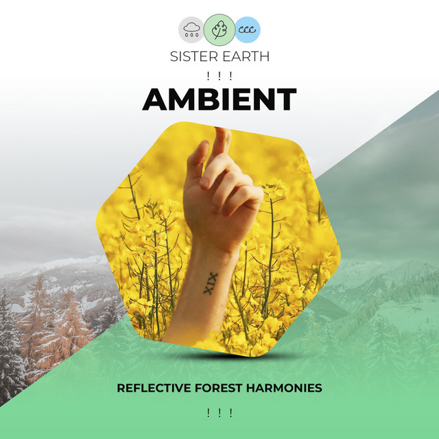 Reflective Ambient Forest Harmonies ! ! ! - Album by Rainforest Sounds ...
