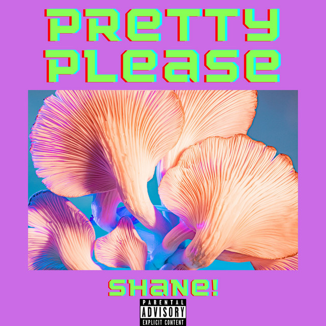 Pretty Please cover art