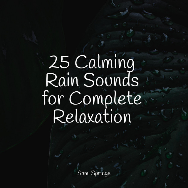 25 Calming Rain Sounds for Complete Relaxation - Album by Rest & Relax ...