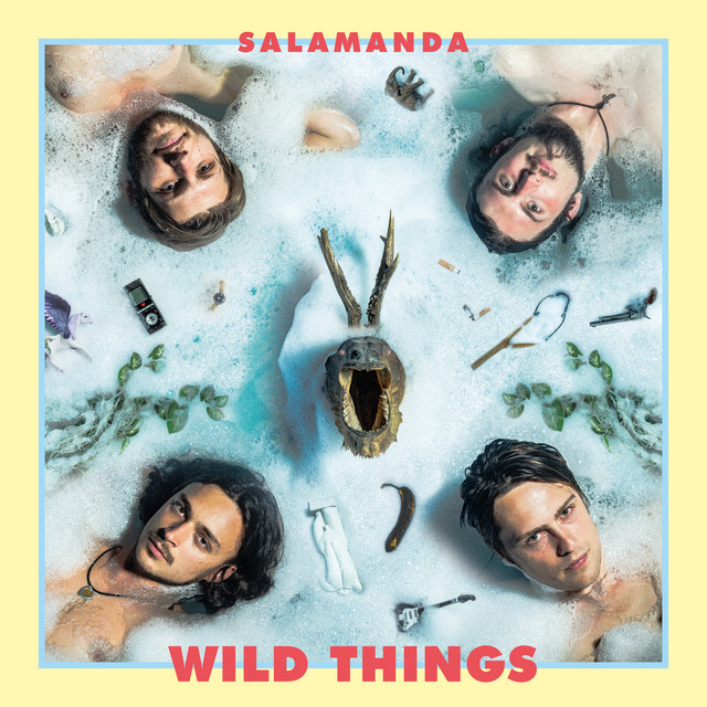 Wild Things cover