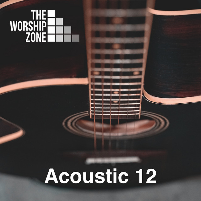 Acoustic 12 - Album by The Worship Zone | Spotify