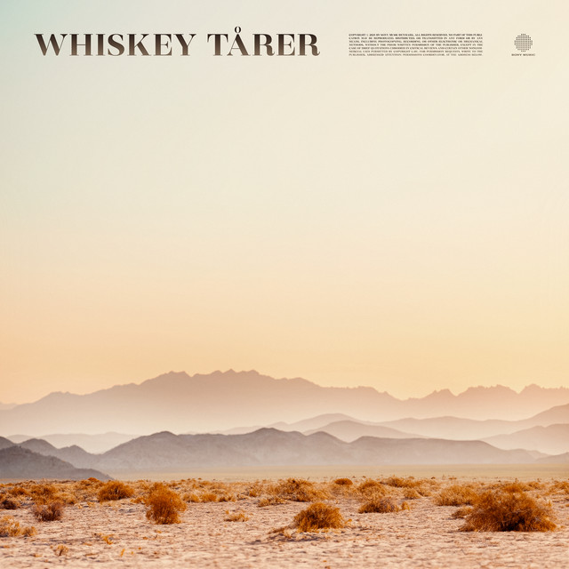 Whiskey Tårer (feat. Albert Heath) cover art