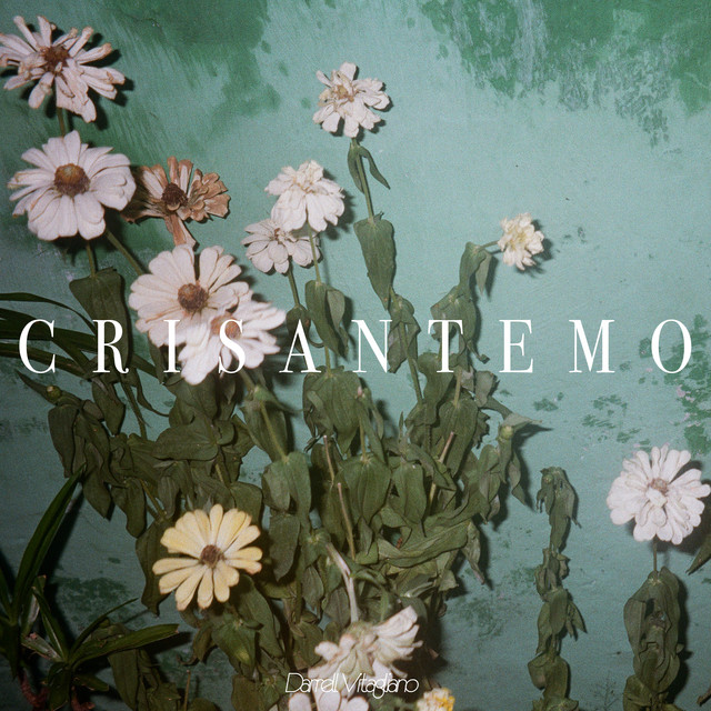 Crisantemo cover art