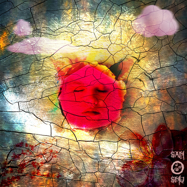 San O Snu cover art
