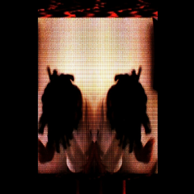 WAV