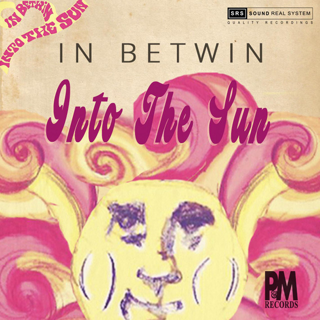 Into the Sun cover art