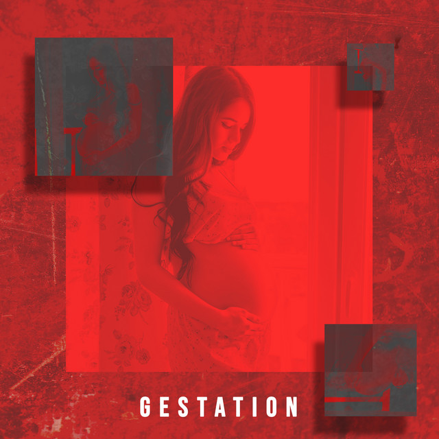 Gestation: Sounds to Listening during Pregnancy for the Unborn Baby and His Mother cover art