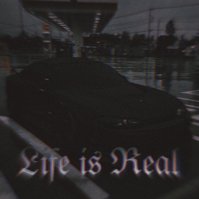 Обкладинка firegun — Life Is Real