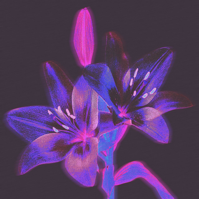 Обкладинка: Сім життів - Slowed version — SUNSTORMIE
