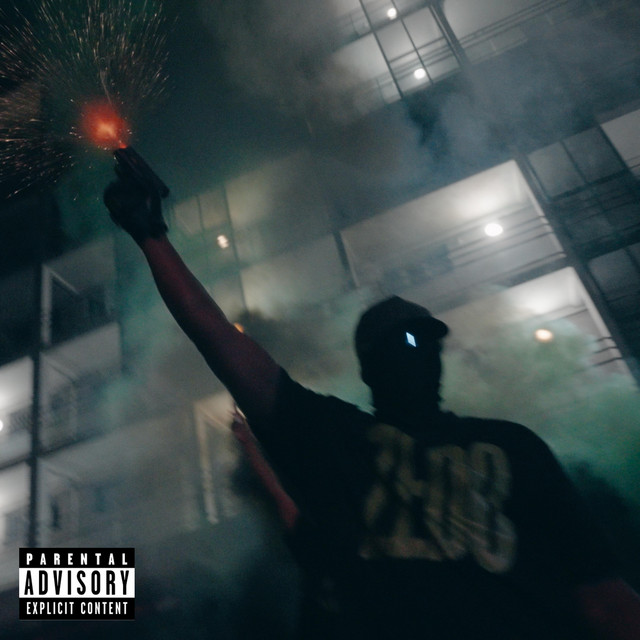 MILLIONNAIRE cover