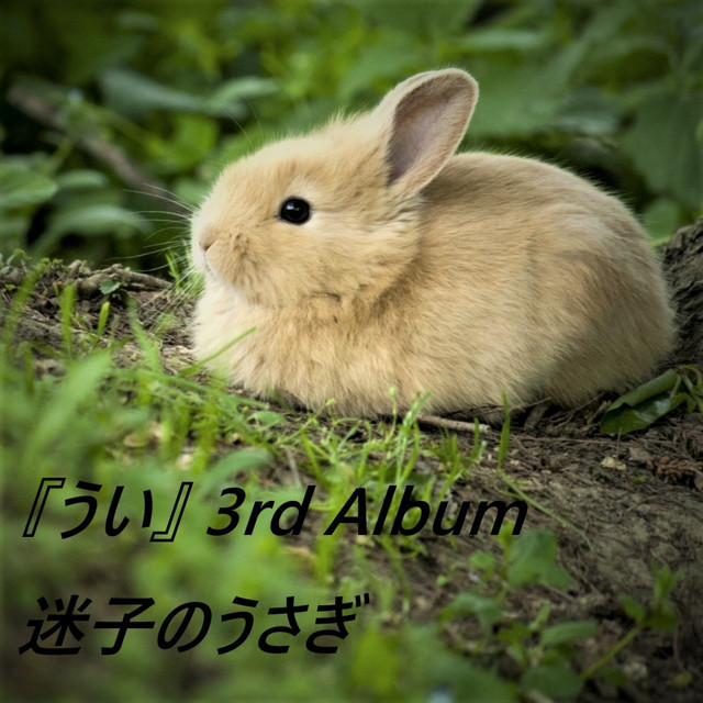 MAIGONOUSAGI cover art
