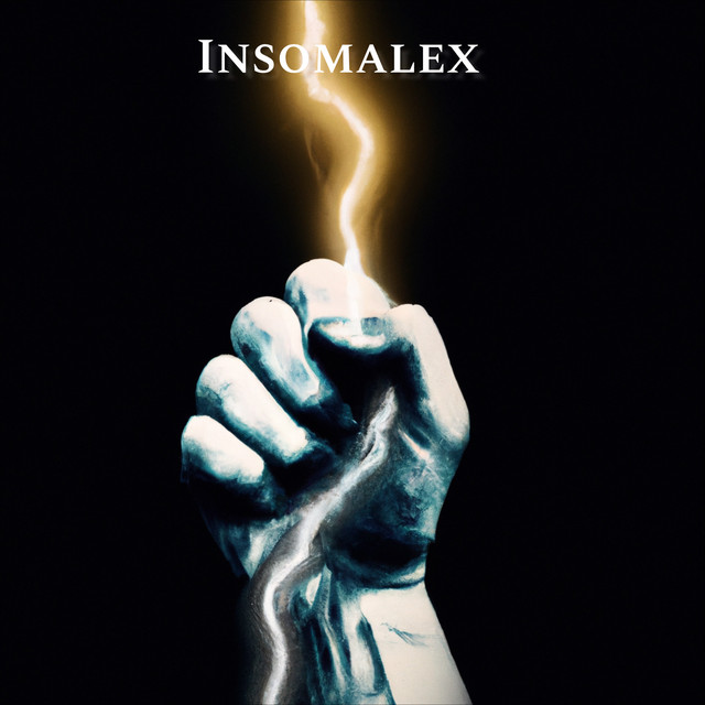 Обкладинка: Never Give Up — Insomalex