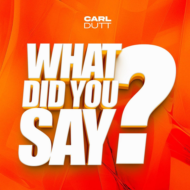 WHAT DID YOU SAY