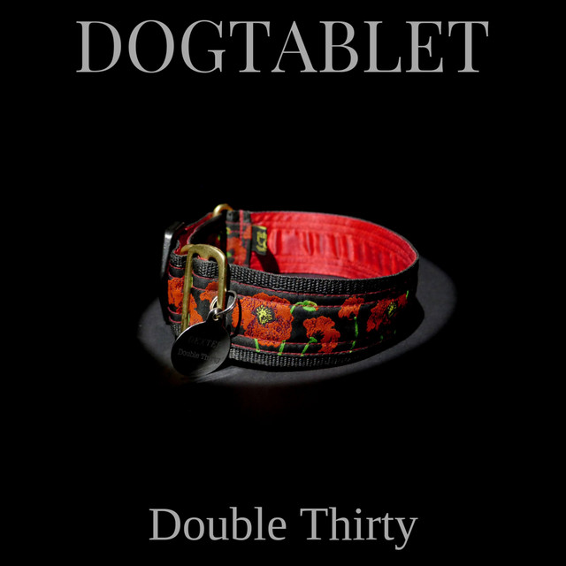 Double Thirty cover art