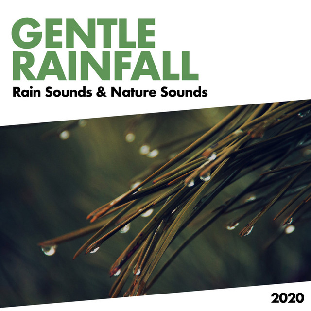 Gentle Rainfall cover art
