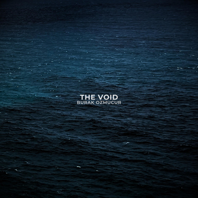 The Void cover art