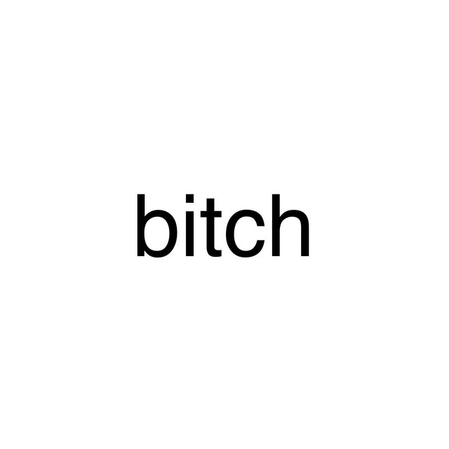 bitch cover art