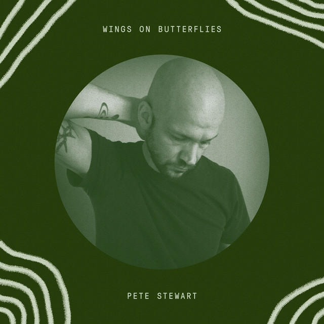 Wings on Butterflies - Album by Pete Stewart | Spotify