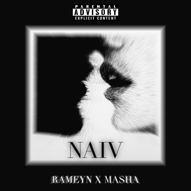 NAIV cover art