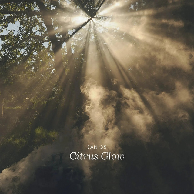 Citrus Glow