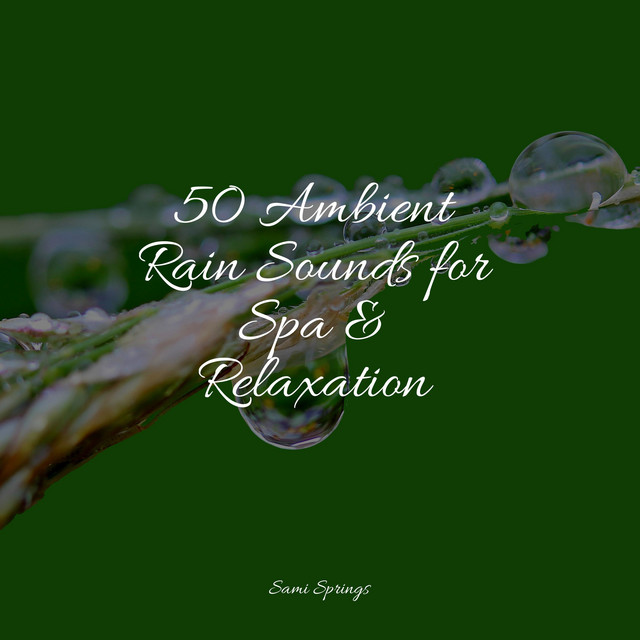 50 Ambient Rain Sounds for Spa & Relaxation - Album by Water Sound ...