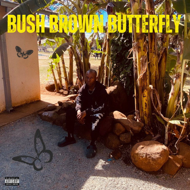 BUSH BROWN BUTTERFLY