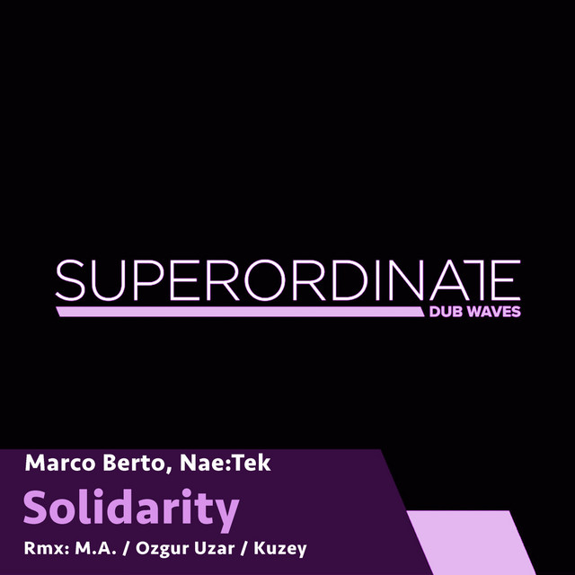 Solidarity - Kuzey Rmx cover art