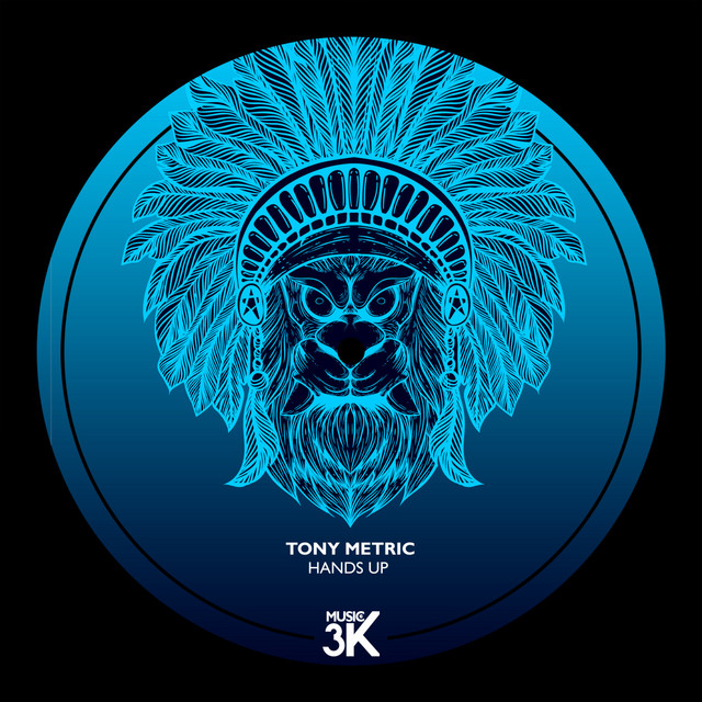 Обкладинка: Hands Up - Original Mix — Tony Metric