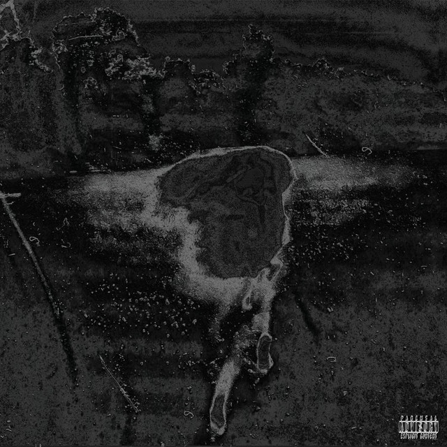 Euphoria cover art