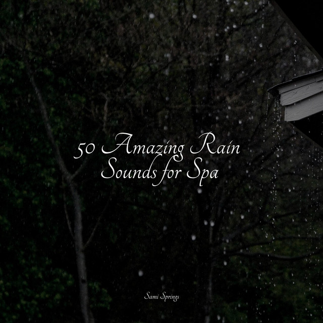 50 Amazing Rain Sounds for Spa - Album by Relajacion Del Mar | Spotify
